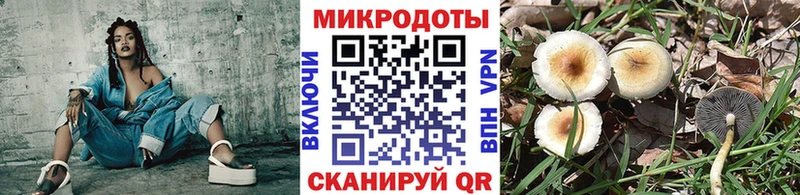KRAKEN онион  Бобров  Псилоцибиновые грибы Psilocybe  дарнет шоп 